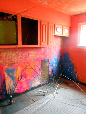 9 artist Rooms To Let house installation, Slavic Village, 2014